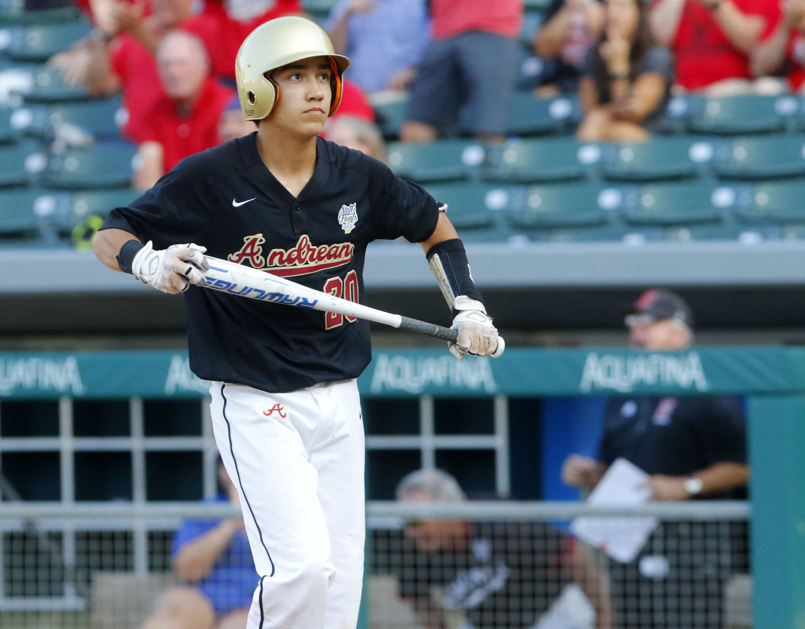 Gallery: Class 3A baseball championship: Andrean vs. Edgewood